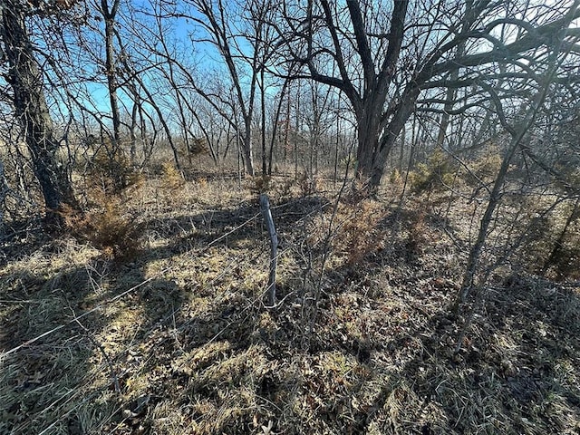 view of local wilderness