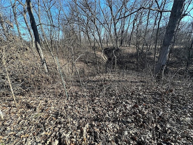 view of landscape