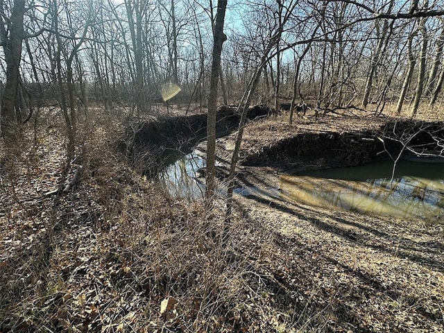 view of local wilderness