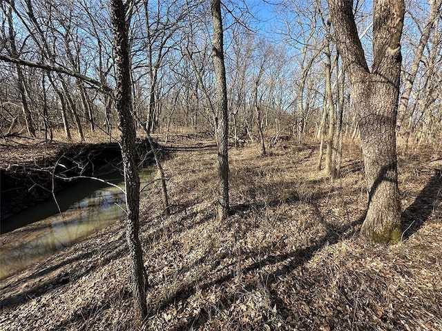 view of local wilderness