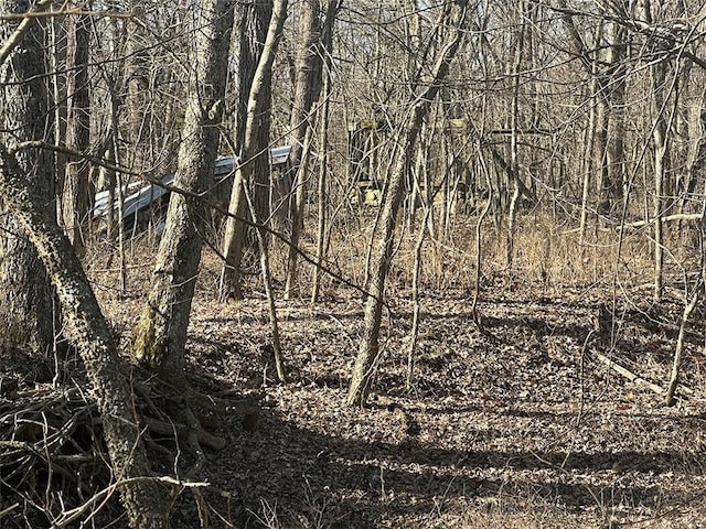 view of local wilderness