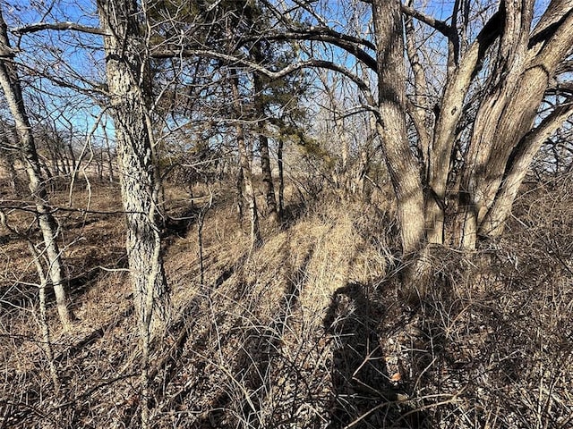 view of landscape