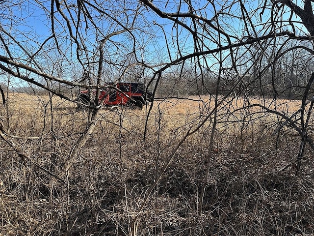 view of nature