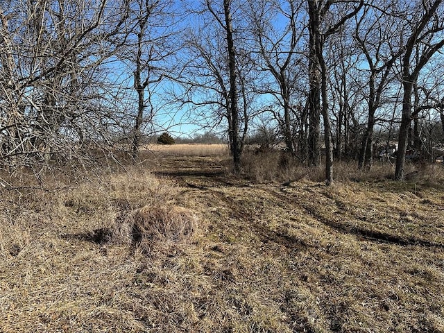 view of landscape