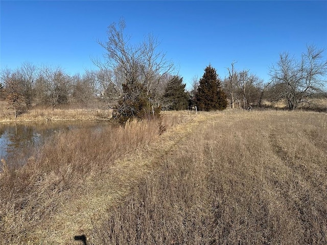 view of local wilderness