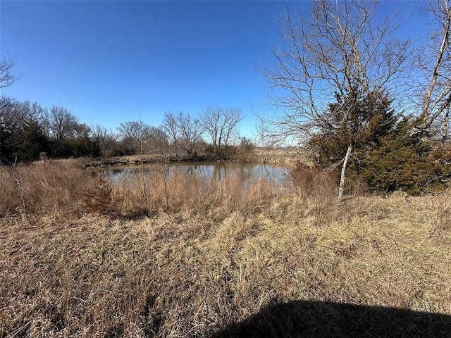 view of nature featuring a water view