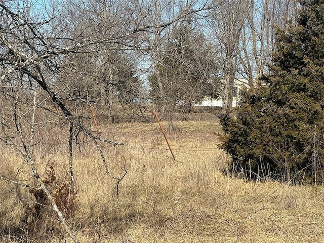 view of local wilderness