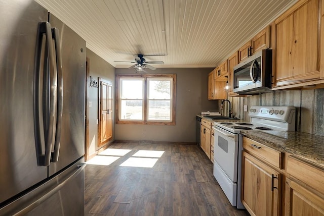 kitchen with tasteful backsplash, ceiling fan, dark wood finished floors, appliances with stainless steel finishes, and a sink