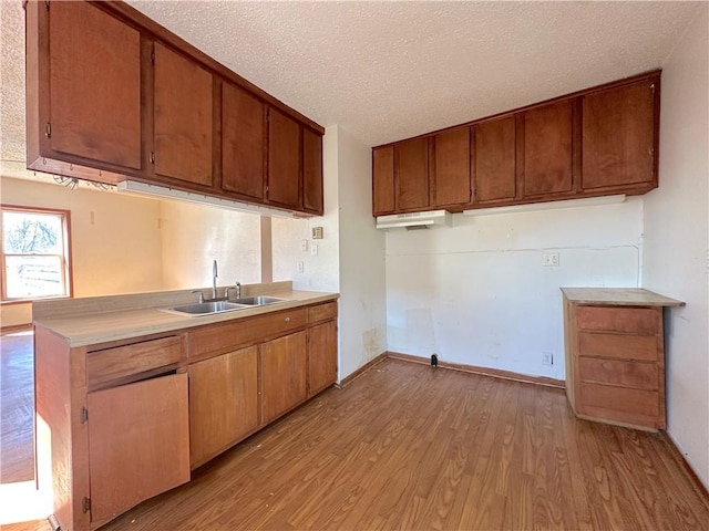 kitchen with light wood finished floors, a sink, light countertops, a textured ceiling, and brown cabinets