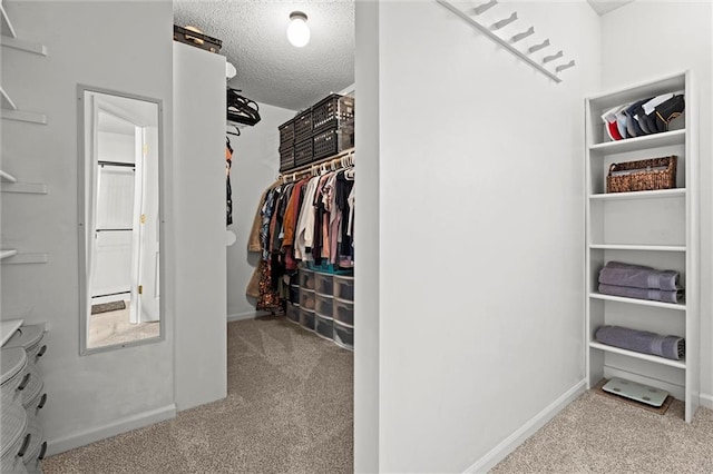 walk in closet with carpet flooring