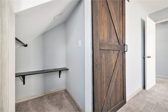 spacious closet featuring carpet flooring