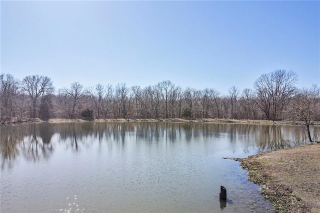 view of water feature featuring a wooded view