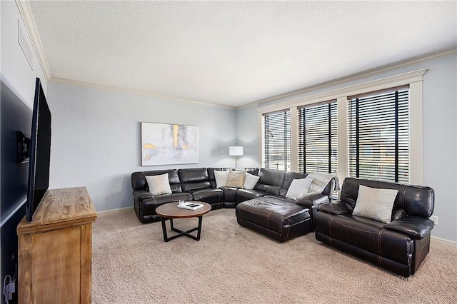 carpeted living area with a textured ceiling, baseboards, and ornamental molding