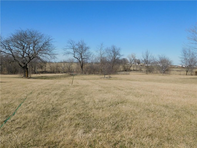 view of yard featuring a rural view