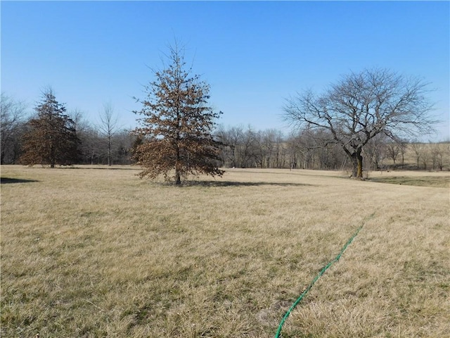 view of yard with a rural view