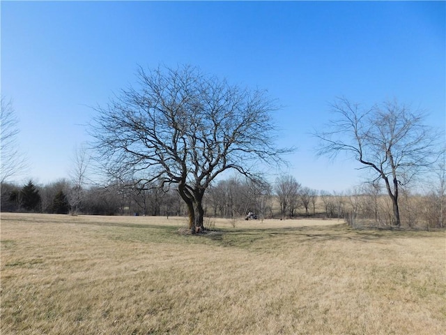 view of yard with a rural view