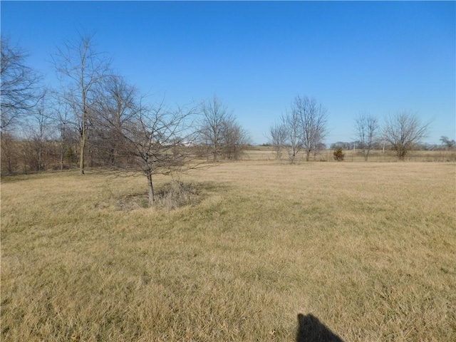 view of yard featuring a rural view