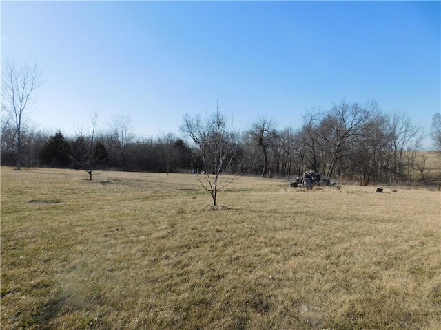 view of yard with a rural view