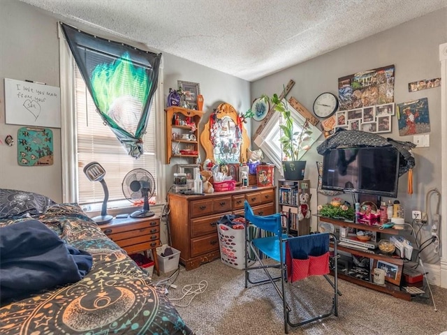 bedroom with carpet flooring and a textured ceiling