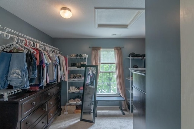 spacious closet with visible vents, attic access, and light carpet
