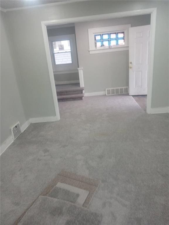 basement with visible vents, baseboards, carpet flooring, and crown molding