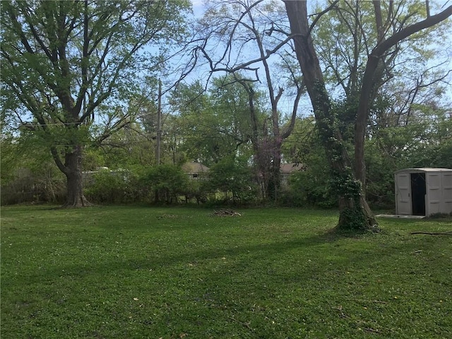 view of yard featuring an outbuilding and a shed