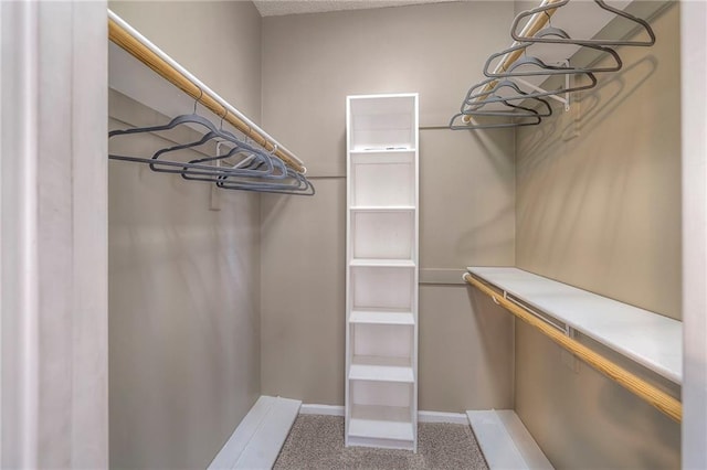 spacious closet with carpet