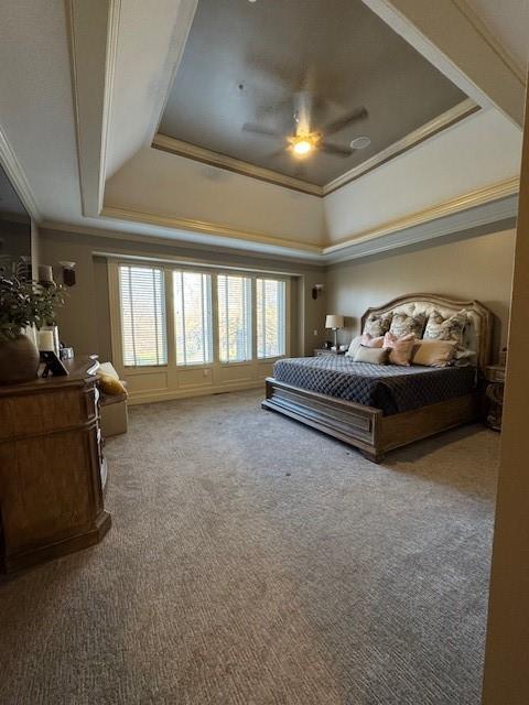 bedroom with a raised ceiling, a ceiling fan, ornamental molding, and carpet flooring