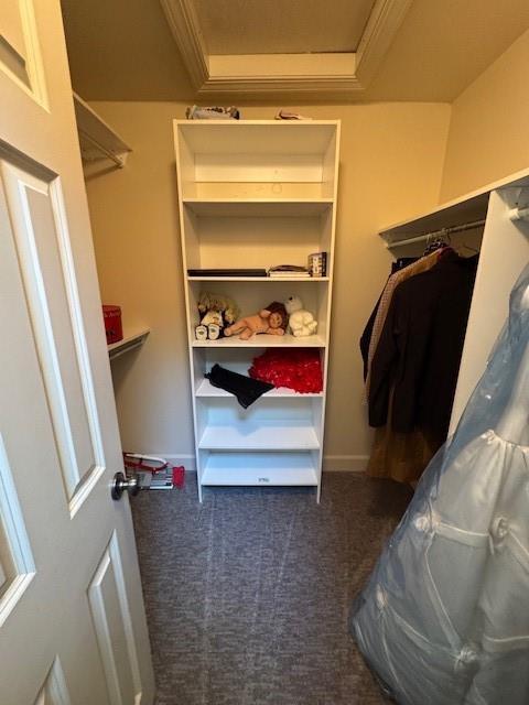 spacious closet with a tray ceiling and carpet