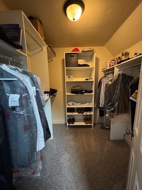 walk in closet featuring lofted ceiling and carpet floors