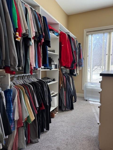 spacious closet with carpet