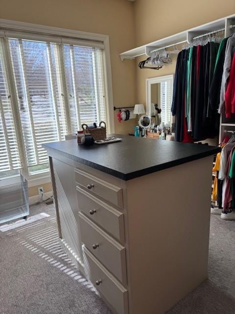 walk in closet with light colored carpet