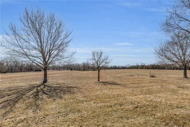 view of yard with a rural view