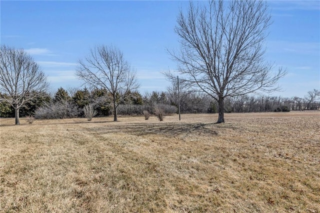 view of yard with a rural view