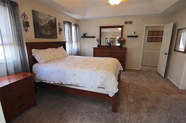 225 N Woodson Dr, Raymore, MO 64083 - bedroom with visible vents, a tray ceiling, baseboards, and carpet floors
