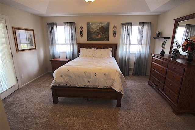 225 N Woodson Dr, Raymore, MO 64083 - carpeted bedroom with multiple windows, baseboards, and a raised ceiling