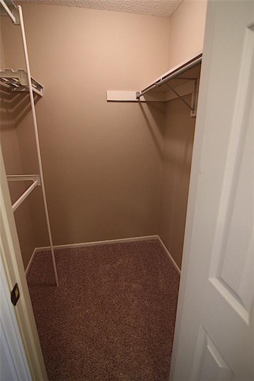 225 N Woodson Dr, Raymore, MO 64083 - spacious closet featuring carpet