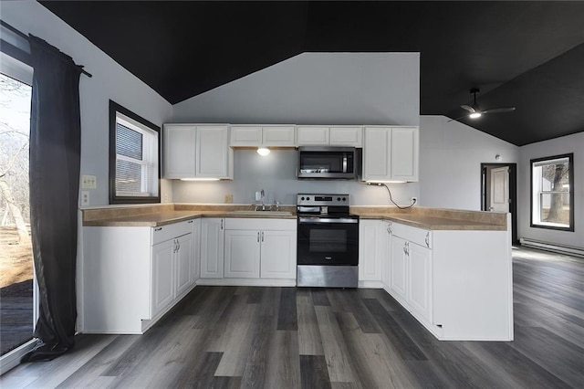 kitchen featuring a peninsula, plenty of natural light, dark wood-type flooring, and stainless steel appliances