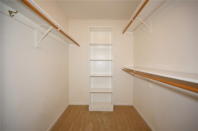 spacious closet with light carpet