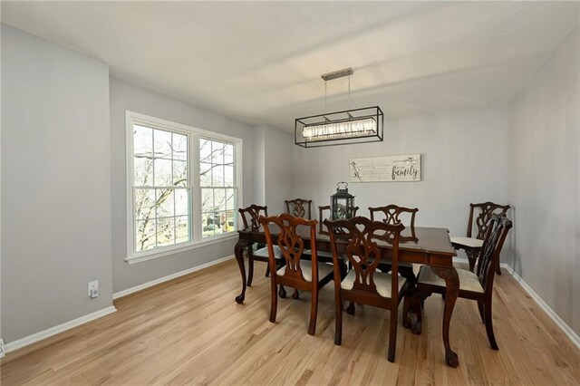 dining room with baseboards and light wood-type flooring