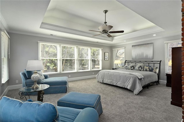 bedroom with a tray ceiling and multiple windows