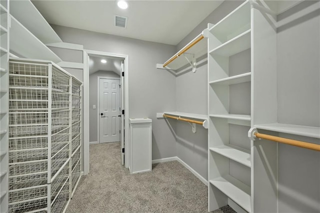 walk in closet featuring visible vents and carpet floors