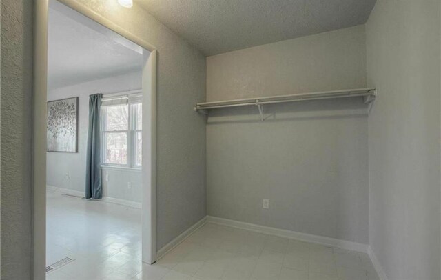 spacious closet with light floors