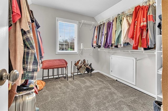 walk in closet with carpet floors