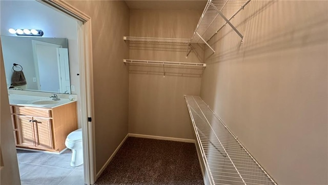 walk in closet with carpet flooring and a sink