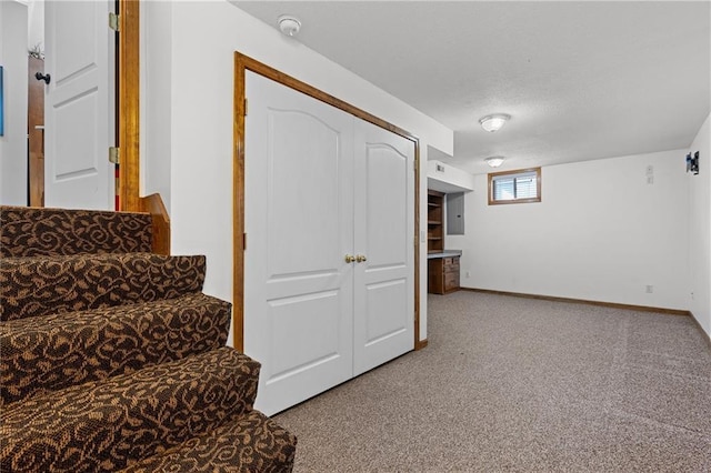 17701 C Hwy, Trimble, MO 64492 - below grade area with light colored carpet and baseboards