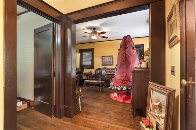 209 High St, Platte City, MO 64079 - hall with wood finished floors