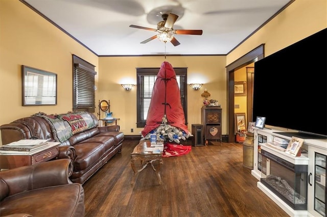 209 High St, Platte City, MO 64079 - living room with baseboards, ceiling fan, ornamental molding, a fireplace, and wood finished floors