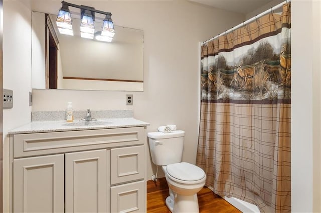 209 High St, Platte City, MO 64079 - bathroom with toilet, curtained shower, vanity, and wood finished floors