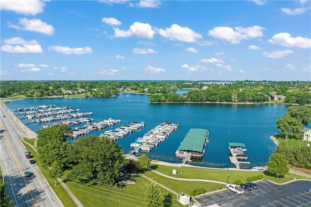 drone / aerial view with a water view